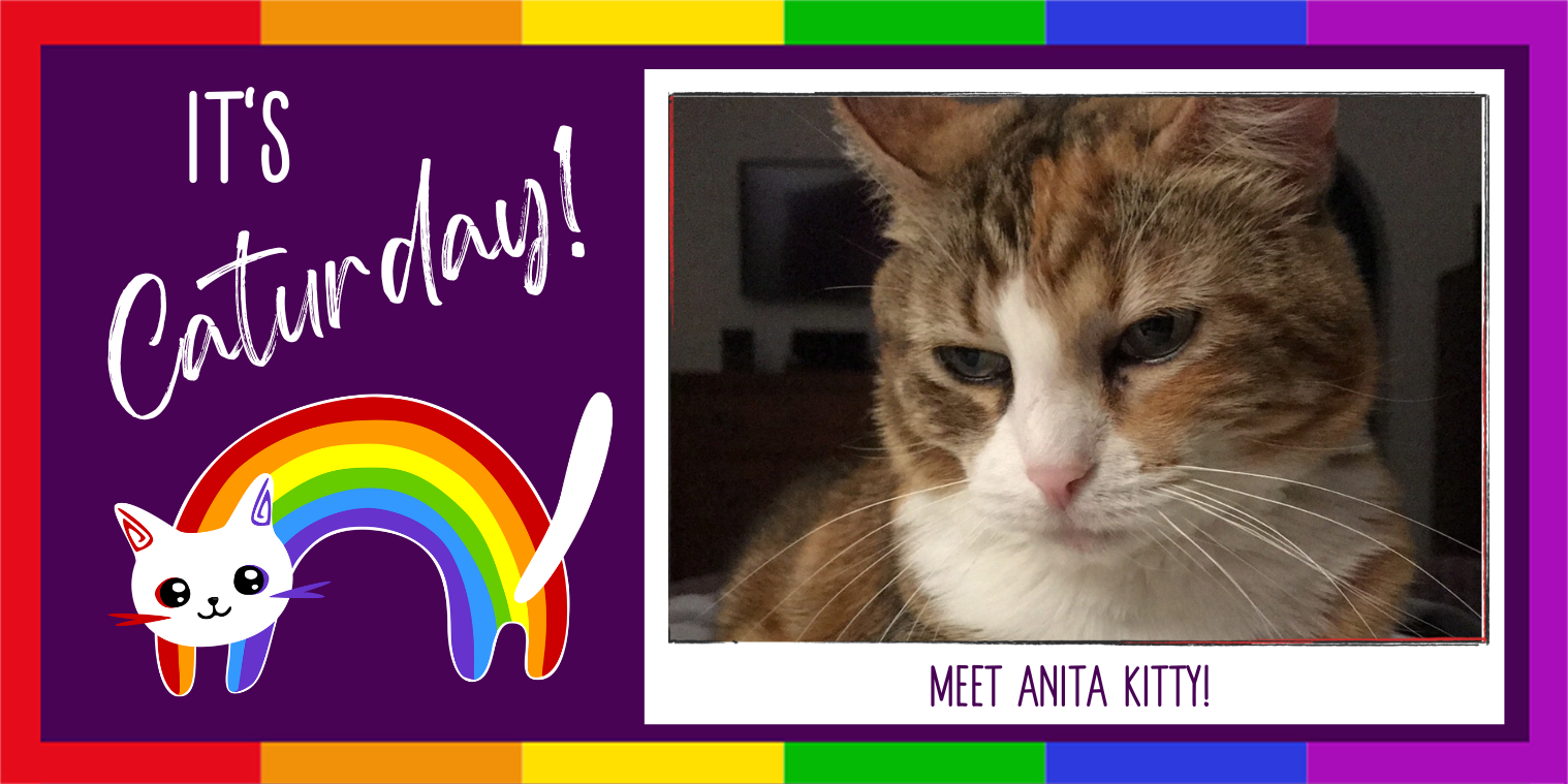 Meet Anita Kitty