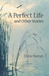 Cover of A Perfect Life and Other Stories