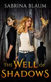 Cover of The Well of Shadows