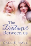 Cover of The Distance Between Us