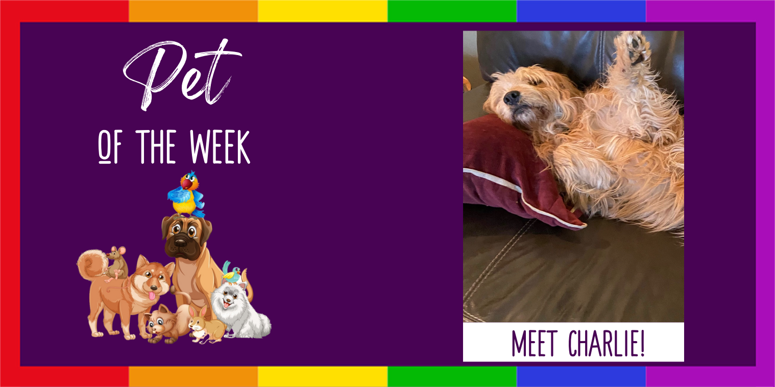 Pet of the Week Graphic