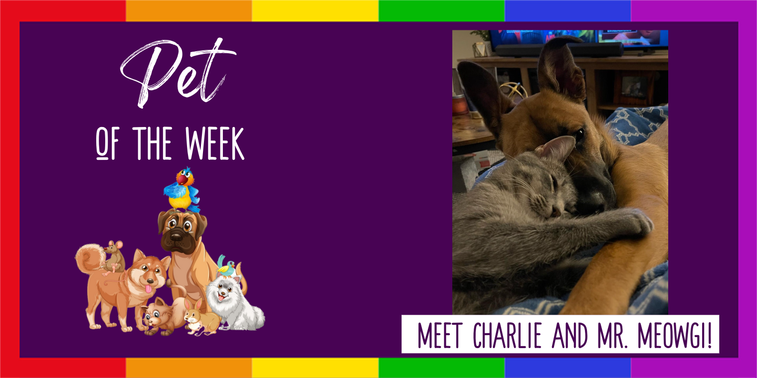 Pet of the Week Graphic