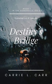 Cover of Destiny's Bridge