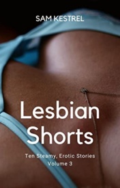 Cover of Lesbian Shorts Volume 3