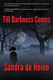 Cover of Till Darkness Comes