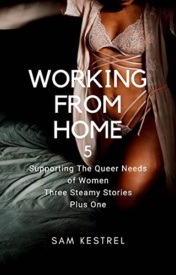 Cover of Working From Home 5