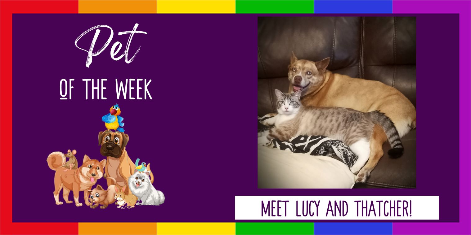 Pet of the Week Photo