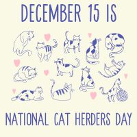 National Cat Herders Day Graphic