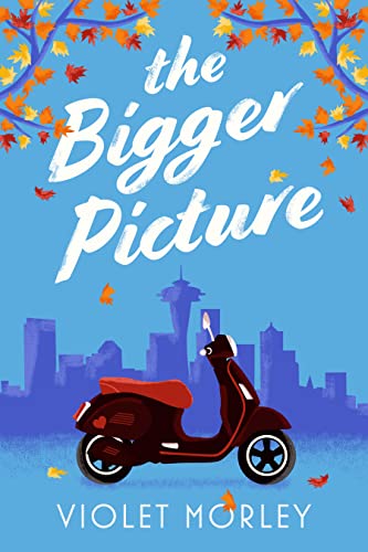 Cover of The Bigger Picture