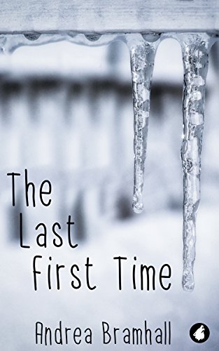 Cover of The Last First Time