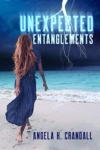 Cover of Unexpected Entanglements