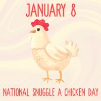 January 8 National Snuggle a Chicken Day graphic