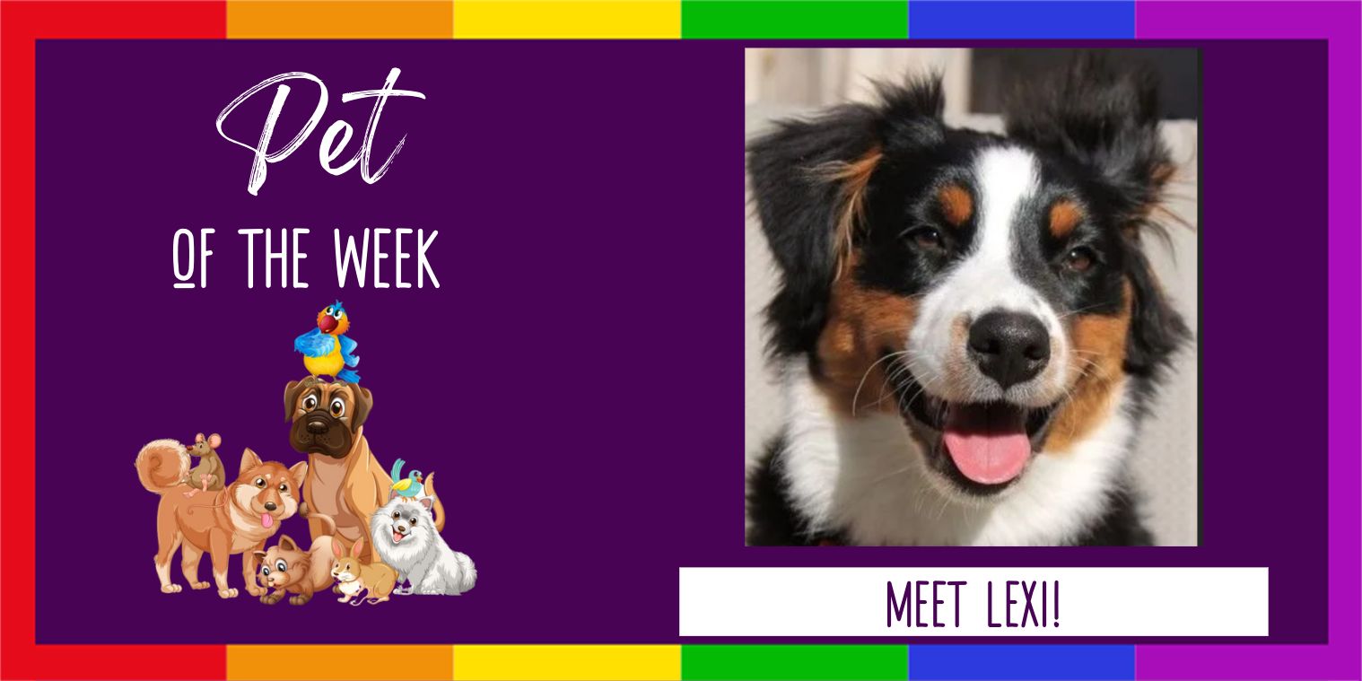Pet of the Week Lexi