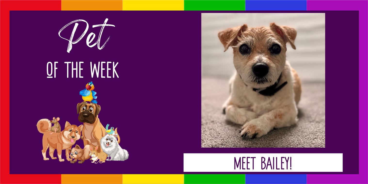 Dog Pet of the Week Photo