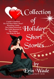 Cover of A Collection of Holiday Short Stories
