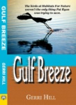 Cover of Gulf Breeze