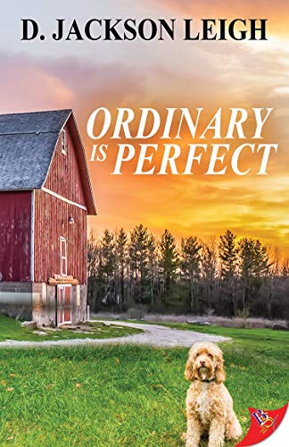 Cover of Ordinary is Perfect