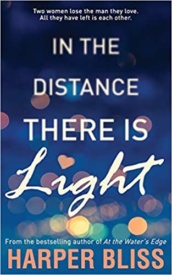 Cover of In the Distance There is Light