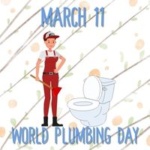 March 11 is World Plumbing Day Graphic