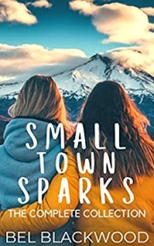 Cover of Small Town Sparks