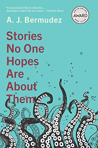 Cover of Stories No One Hopes Are about Them