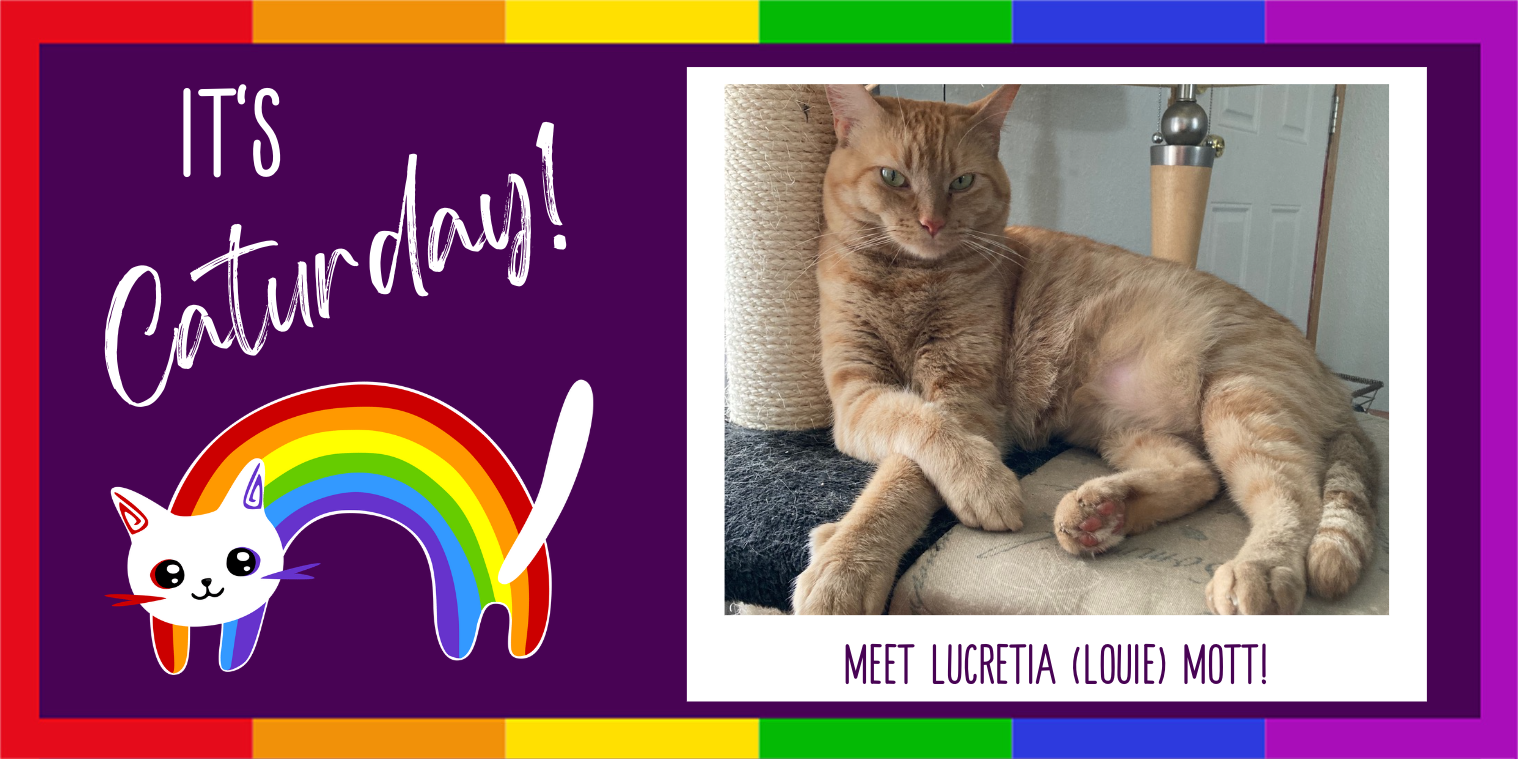 Meet Lucretia (Louie) Mott, orange tabby