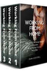 Cover of Working From Home 1-3