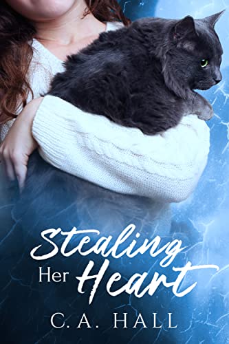 Cover of Stealing Her Heart