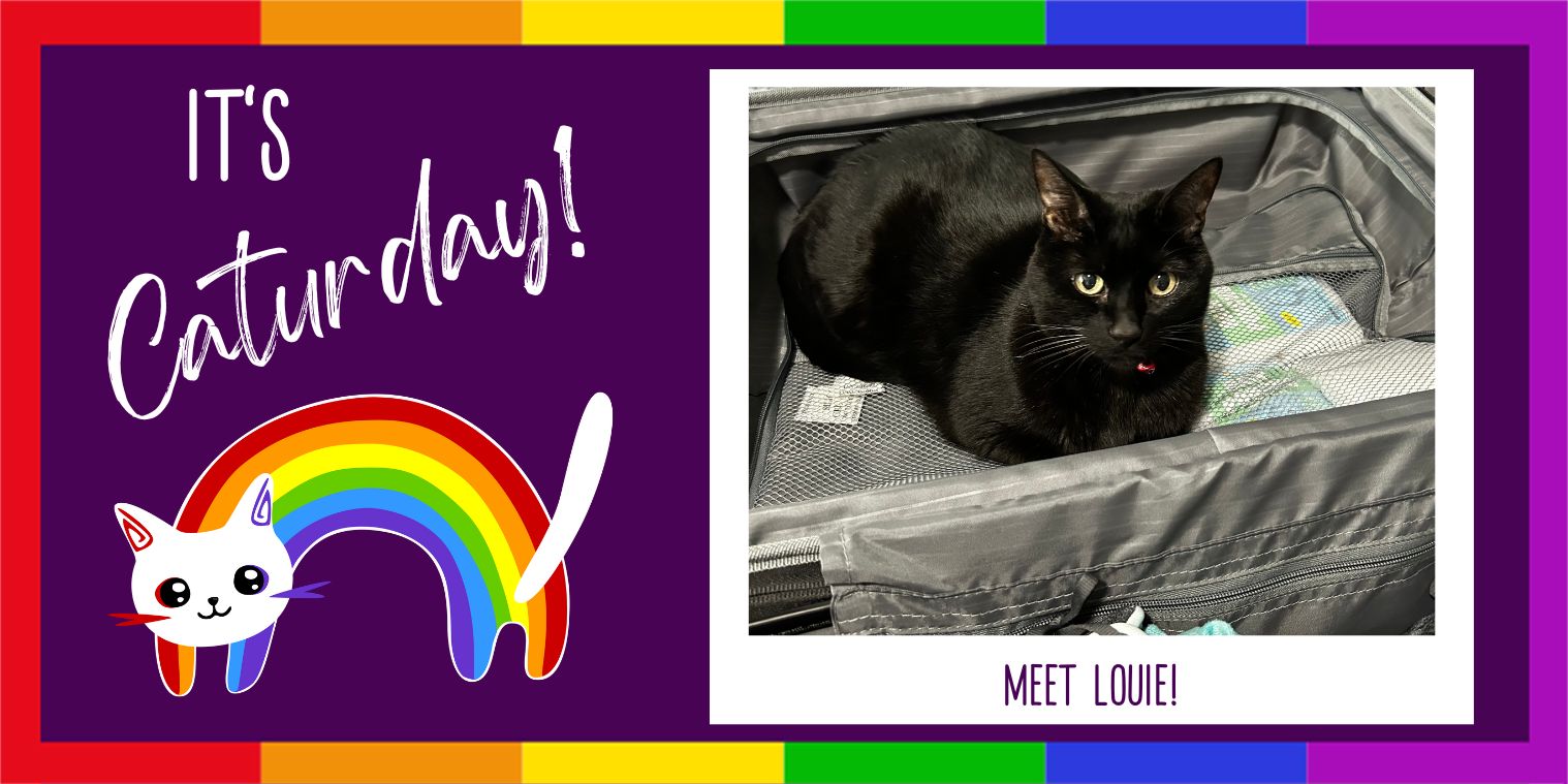 Meet Louie, black cat