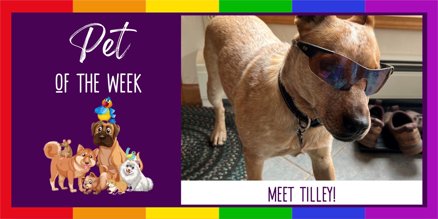 Meet Tilley!