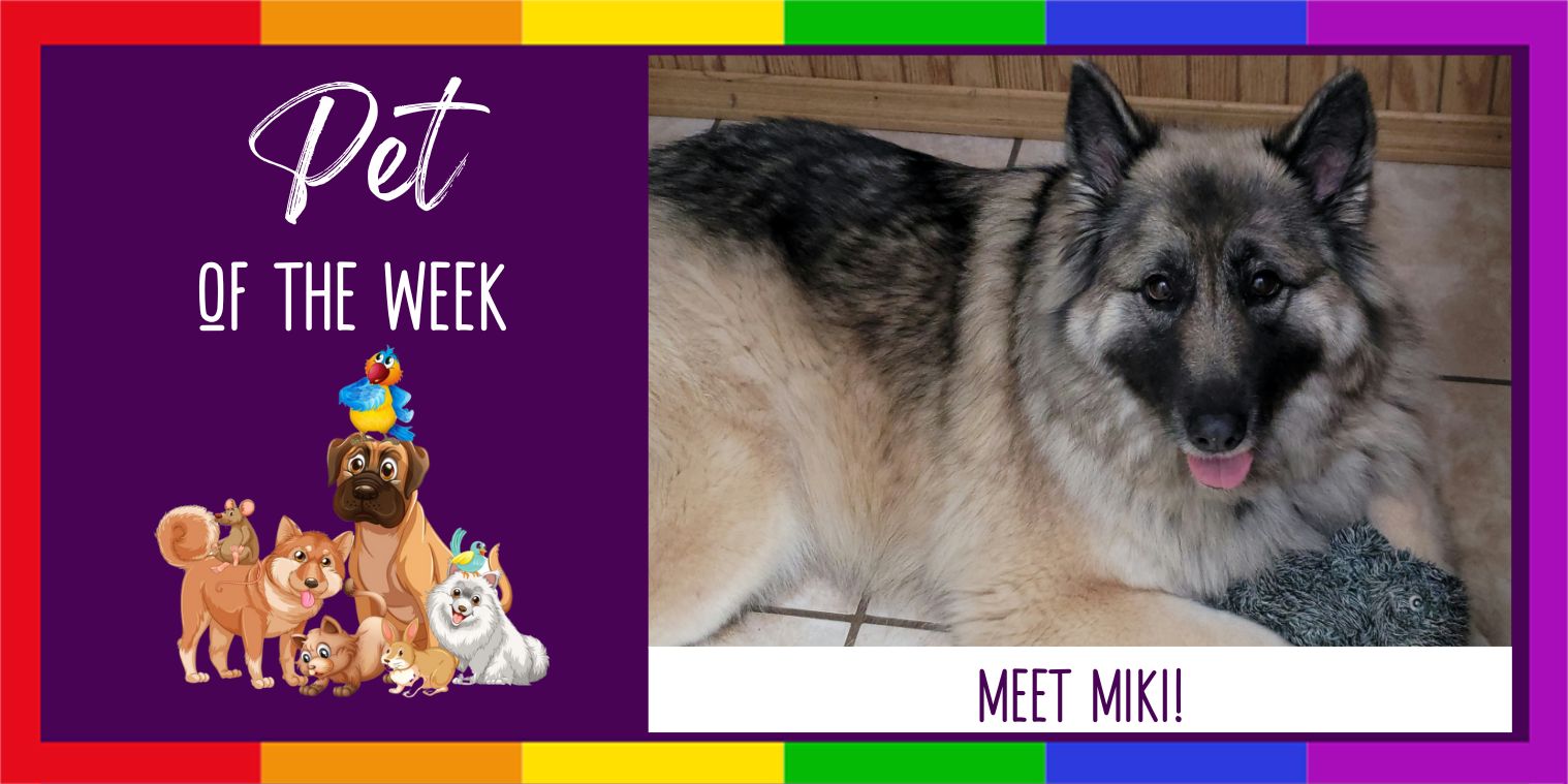 Meet Miki!
