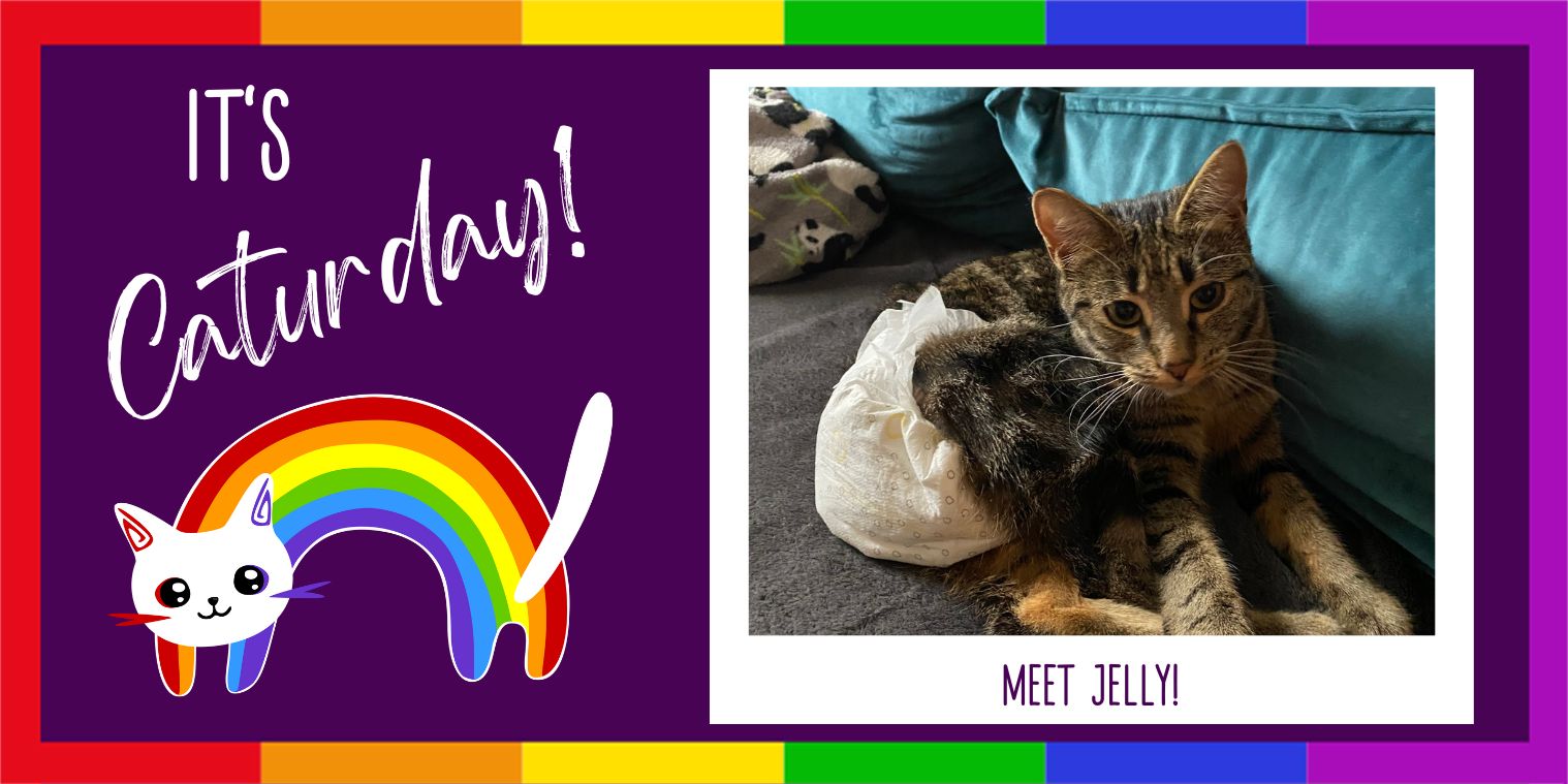 Meet Jelly!