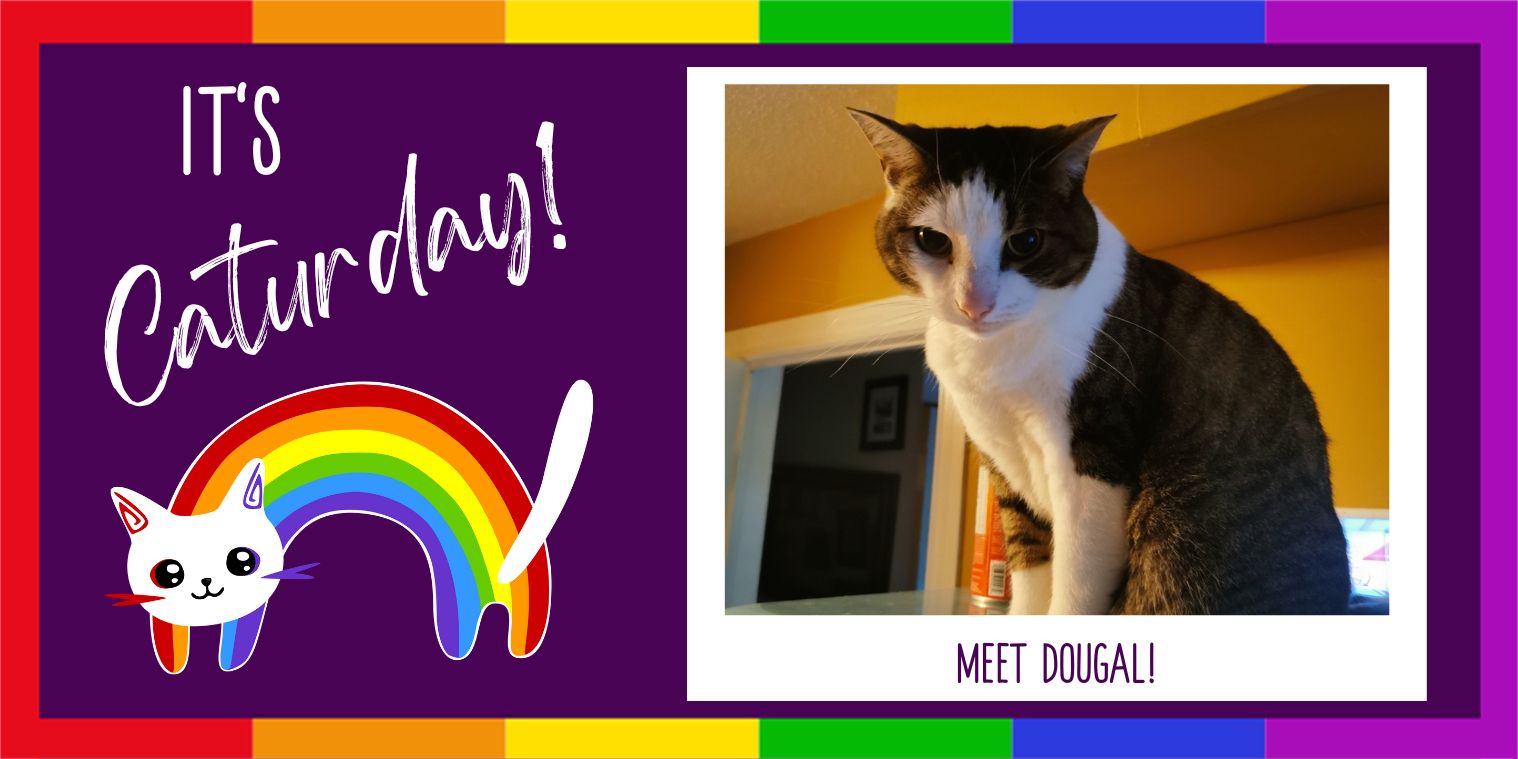 Meet Dougal! 