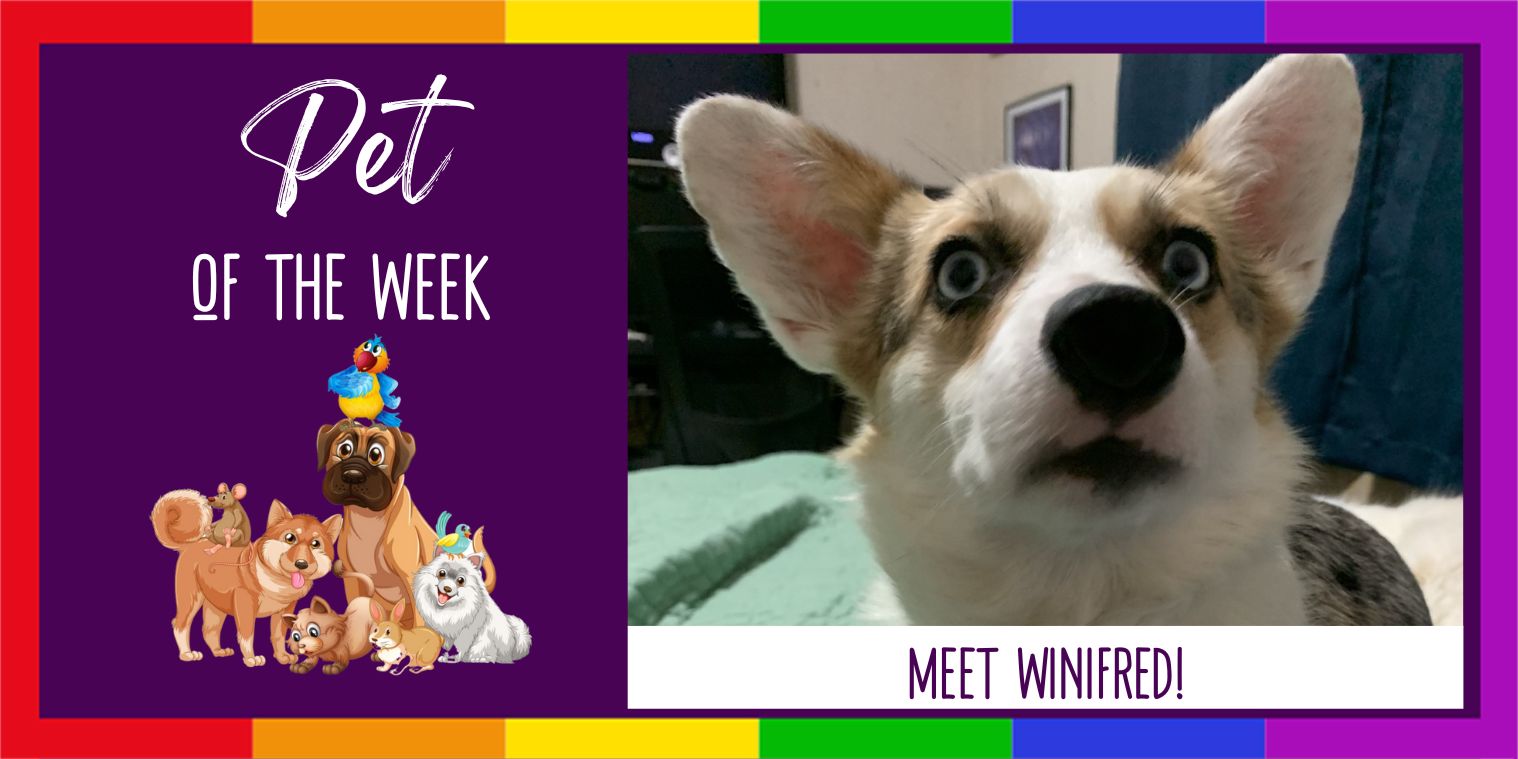 Meet Winifred! 