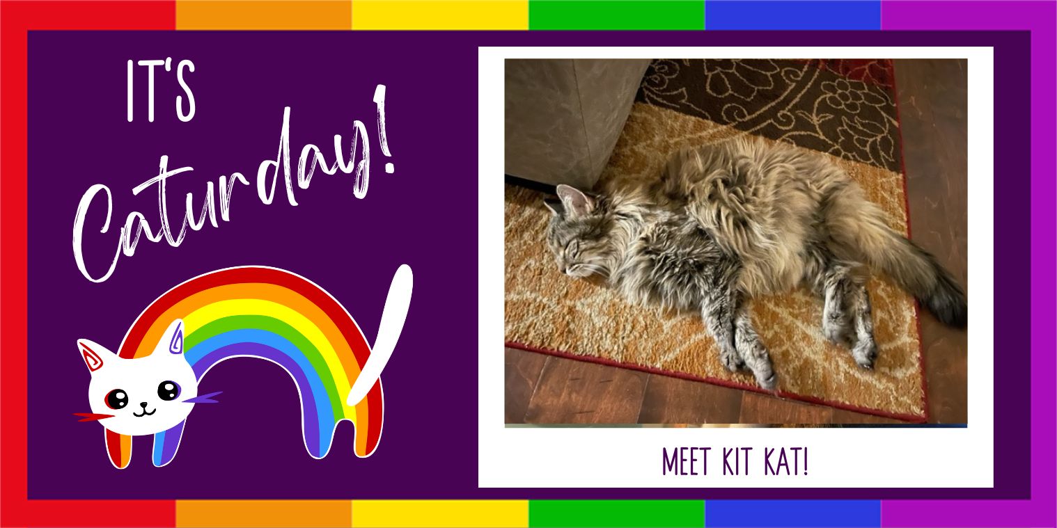 Meet Kit Kat!