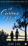 Cover of A Curious Visit