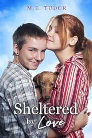 Cover of Sheltered by Love