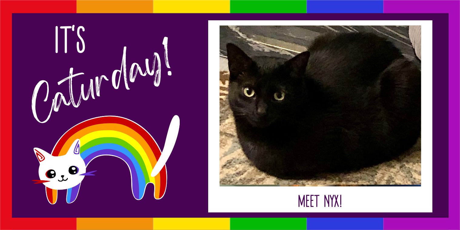 Meet Nyx a black cat