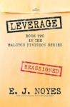 Cover of Leverage