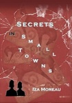 Cover of Secrets in Small Towns