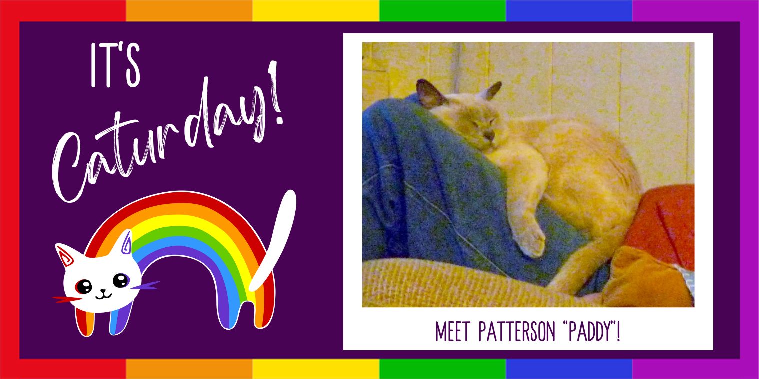 Meet Patterson "Paddy"!