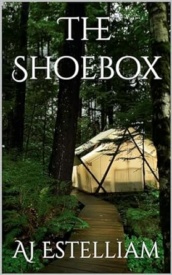 Cover of The Shoebox