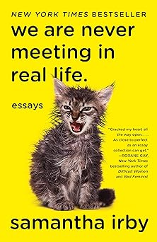 Cover of We Are Never Meeting in Real Life.
