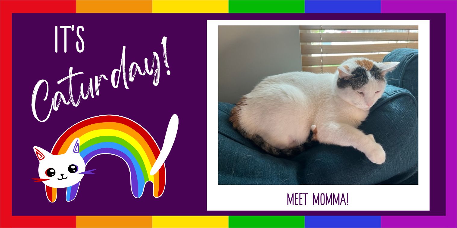 Meet Momma white cat