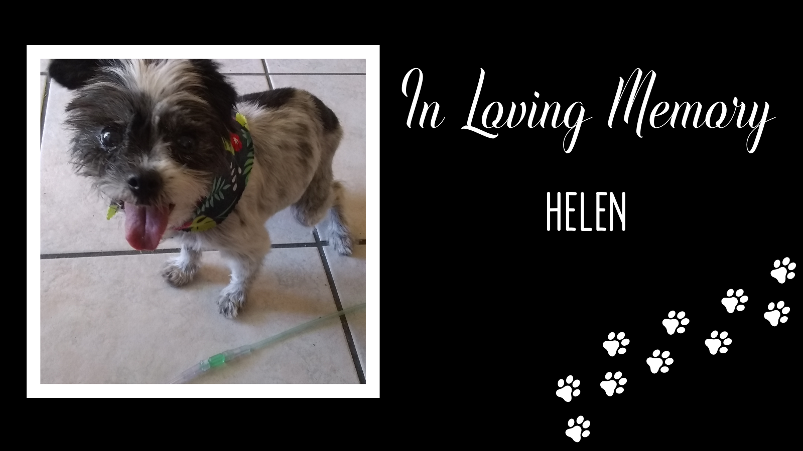 Helen In Loving Memory