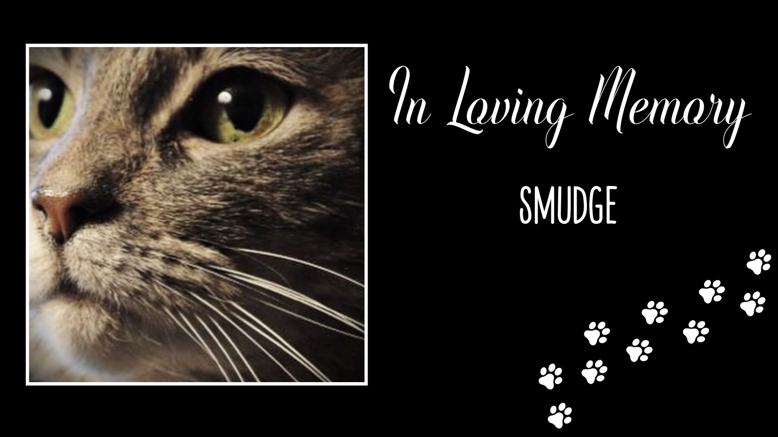 In Loving Memory of Smudge