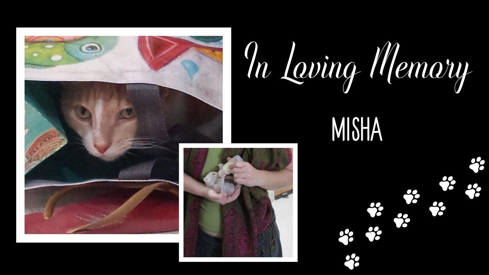 In Loving Memory Misha
