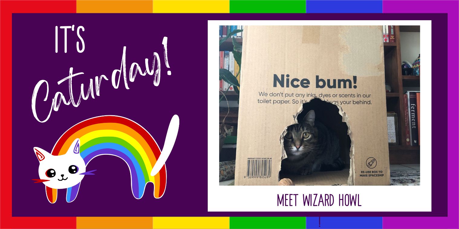 Meet Wizard Howl cat in a box