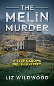 Cover of The Melin Murder