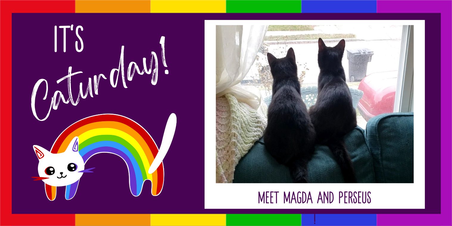 Meet Magda and Perseus--2 black cats